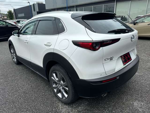 Mazda CX-30 12