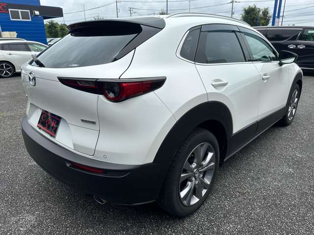 Mazda CX-30 10