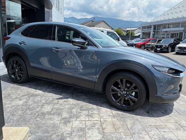 Mazda CX-30 11