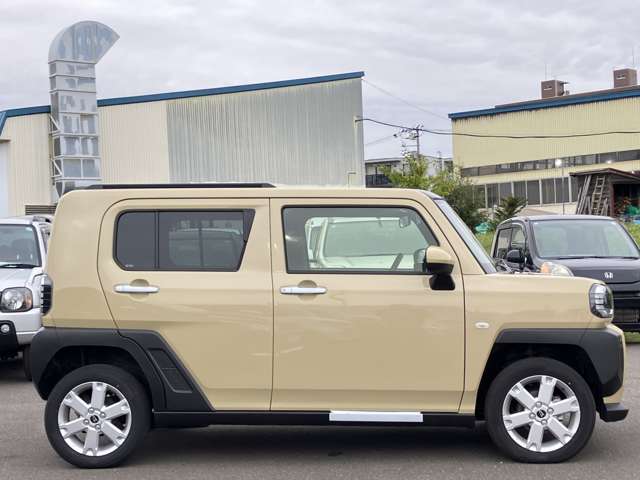 Daihatsu Taft 11