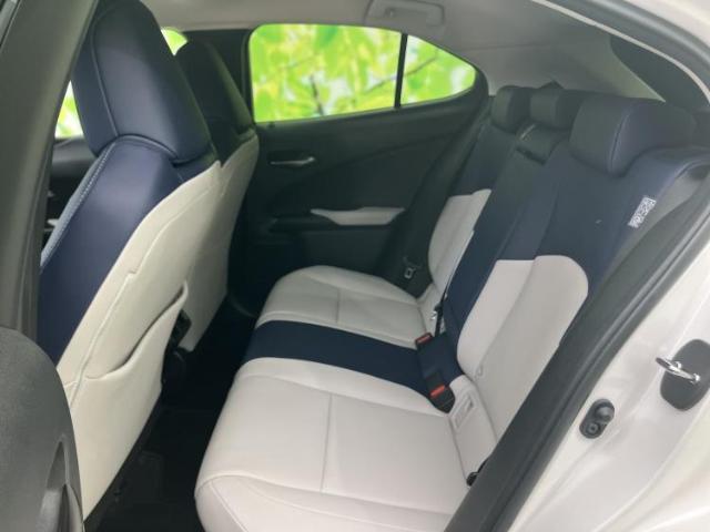 Lexus UX 10