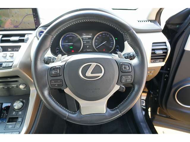 Lexus NX 4