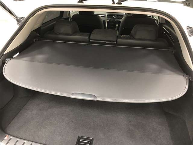 Lexus RX 12