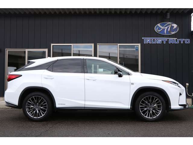 Lexus RX 11