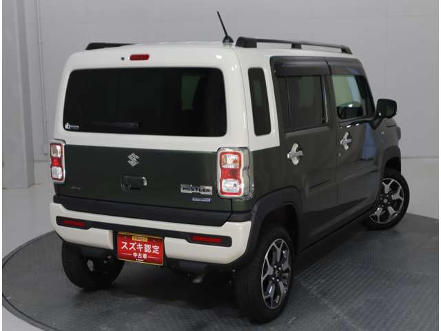 Suzuki Hustler 3