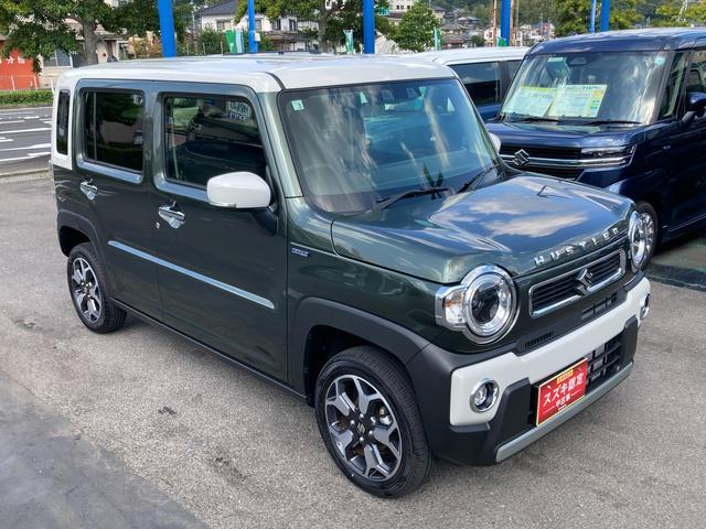Suzuki Hustler 4