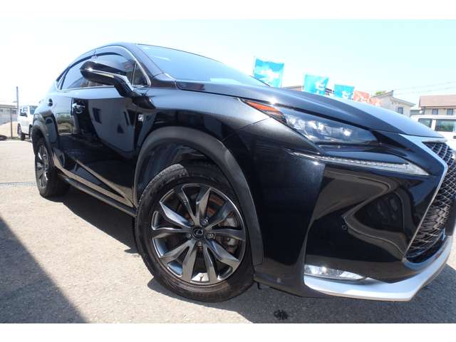 Lexus NX 11