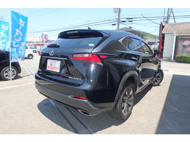 Lexus NX 12