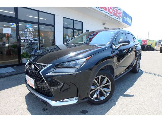 Lexus NX 8
