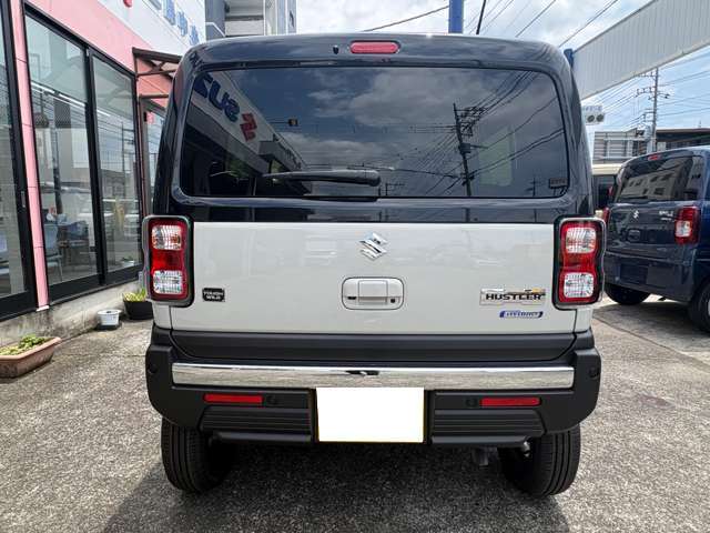 Suzuki Hustler 5