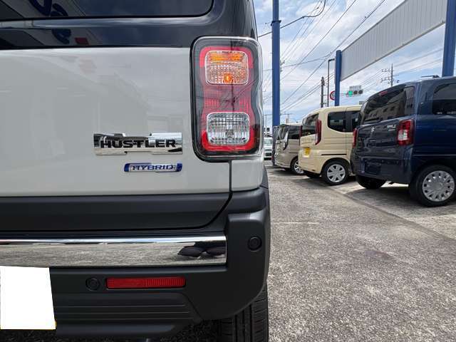 Suzuki Hustler 6