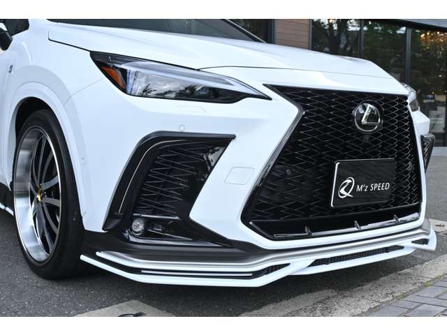 Lexus NX 11
