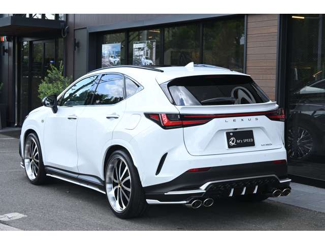 Lexus NX 6