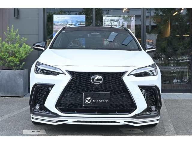 Lexus NX 10