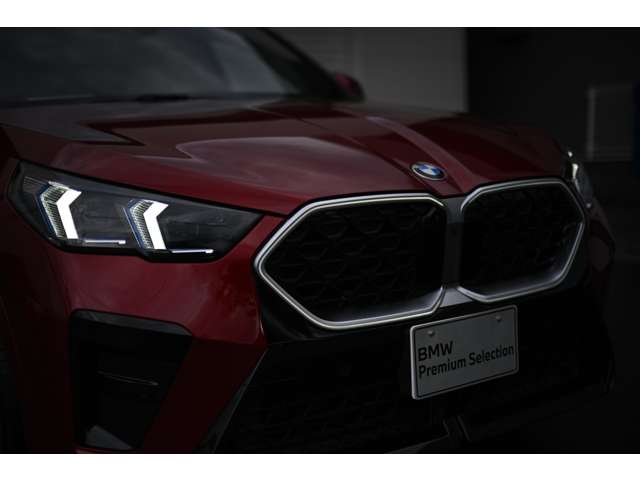 BMW X2 11
