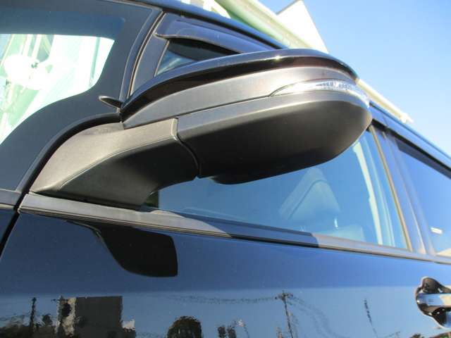 Toyota Voxy 10