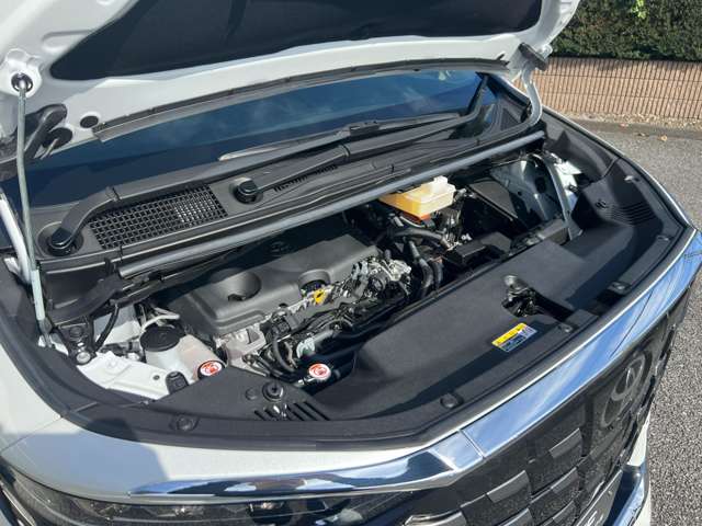 Toyota Alphard 5