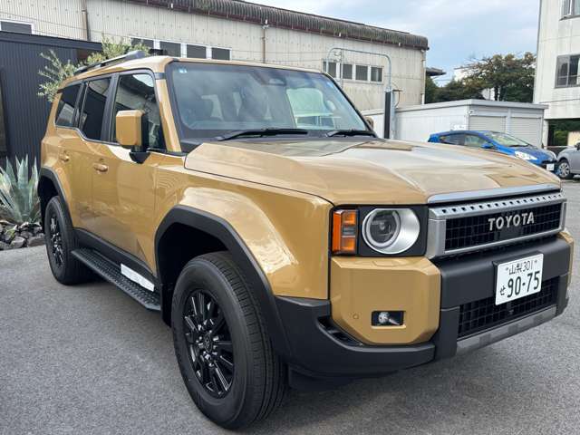 Toyota Land Cruiser 250 3