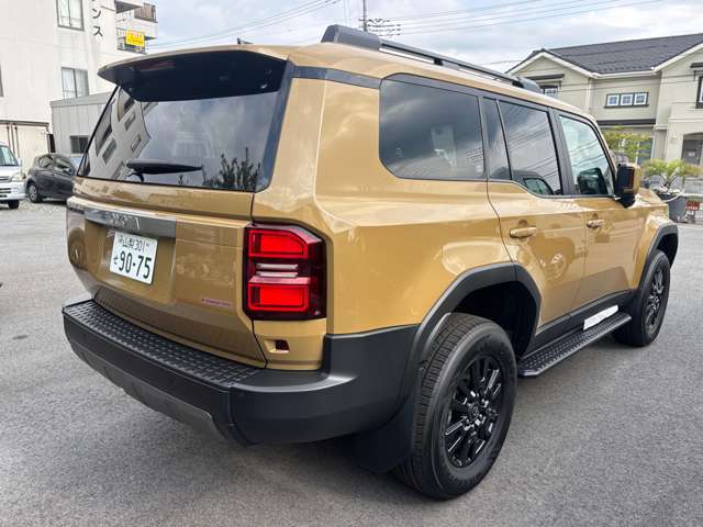Toyota Land Cruiser 250 5