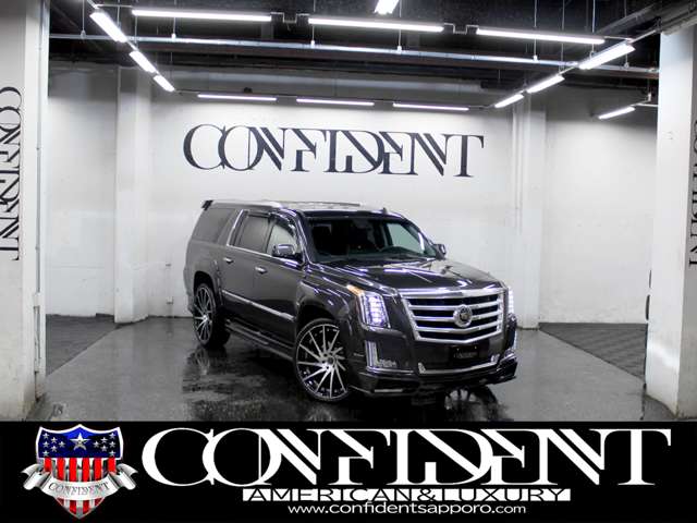Cadillac エスカレード 11
