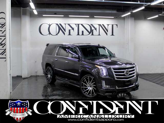 Cadillac エスカレード 12