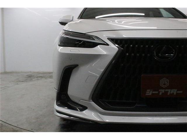 Lexus NX 12