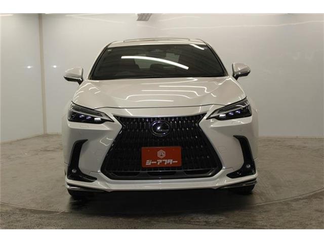 Lexus NX 3