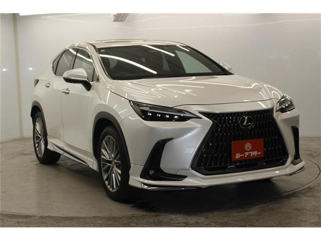 Lexus NX 4