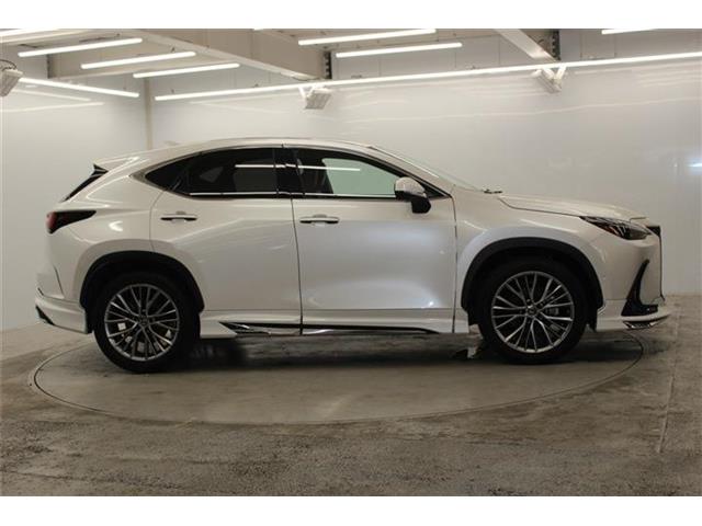 Lexus NX 5