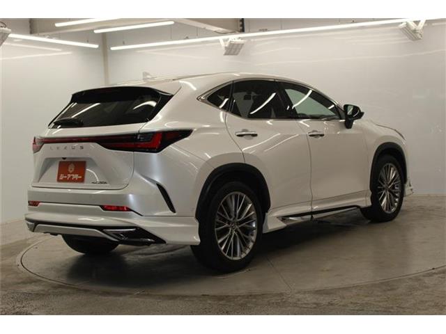 Lexus NX 6