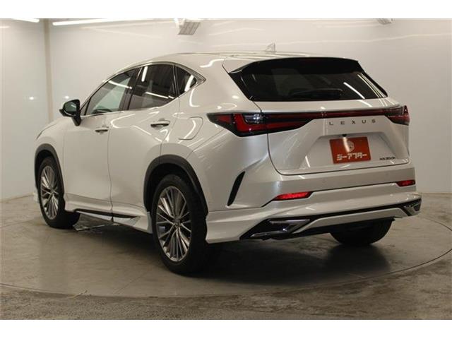 Lexus NX 8