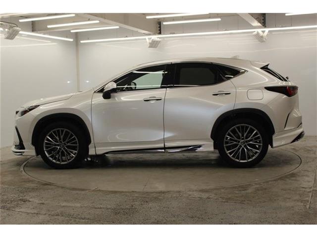 Lexus NX 9
