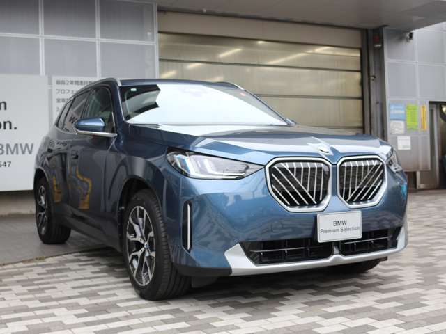 BMW X3 10