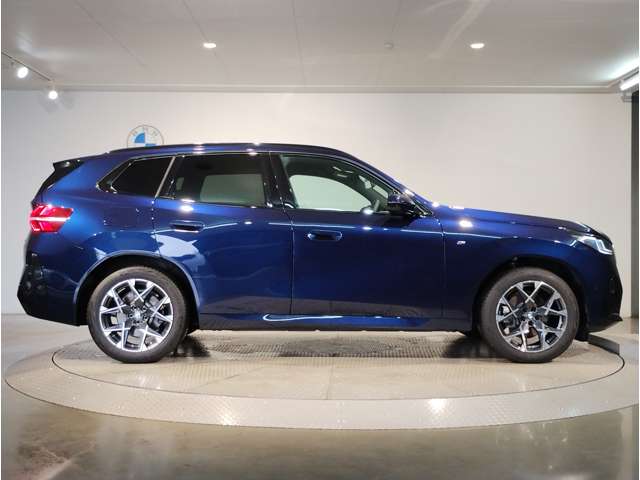 BMW X3 10