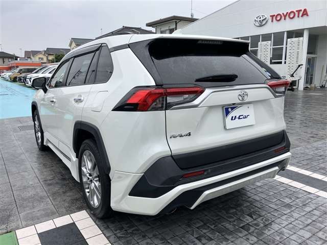 Toyota RAV4 10