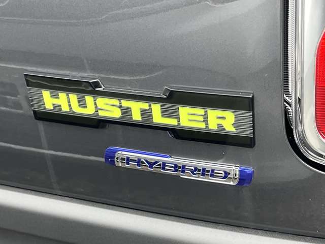 Suzuki Hustler 9