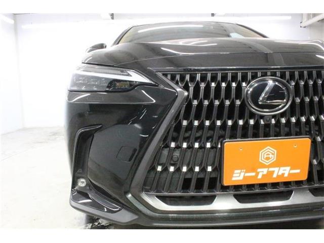 Lexus NX 12