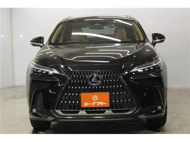 Lexus NX 3