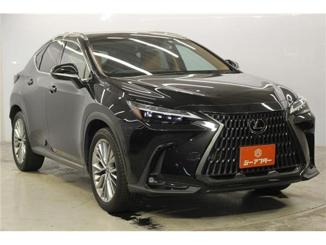 Lexus NX 4