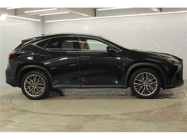 Lexus NX 5