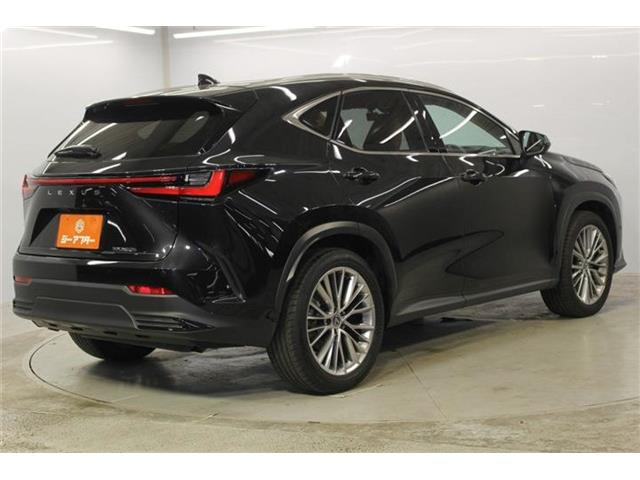 Lexus NX 6