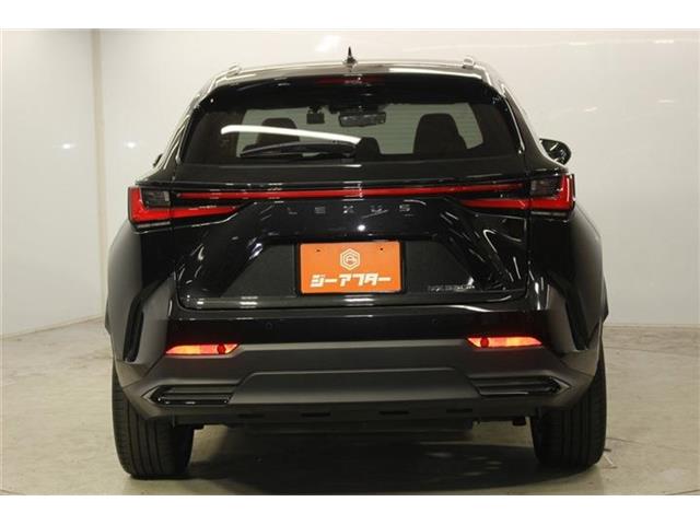 Lexus NX 7