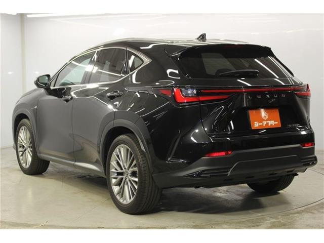 Lexus NX 8