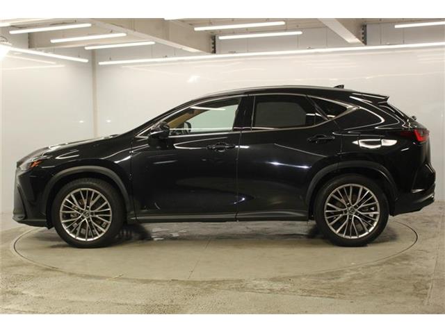 Lexus NX 9