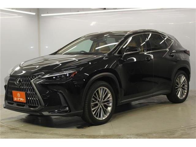 Lexus NX 10