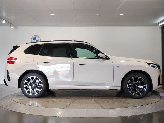 BMW X3 11