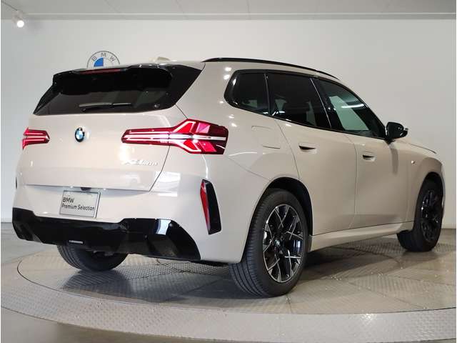 BMW X3 10