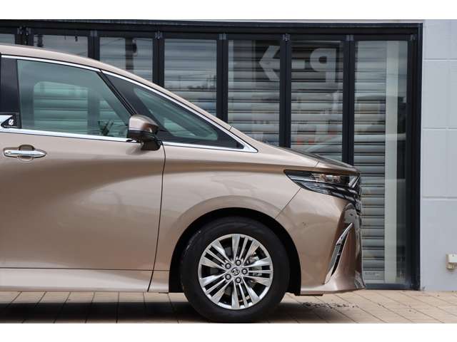 Toyota Alphard 9