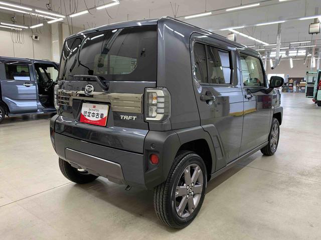 Daihatsu Taft 11