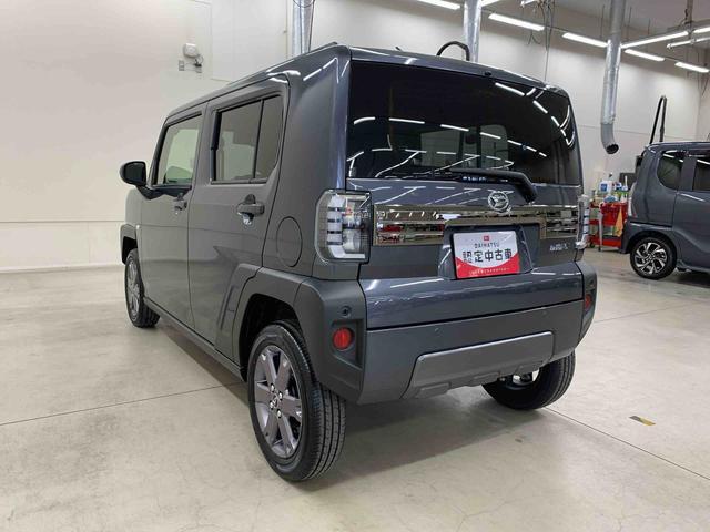 Daihatsu Taft 12